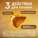 Эссенциале форте Н 300 мг капсулы 30 шт
