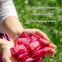 Альпийская карамель Детские леденцы Малина 75 г