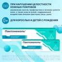 Пантомеколь 5% крем для наружного применения 25 г