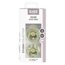 Bibs Colour Пустышка латексная с 6 месяцев Sage 2 шт 