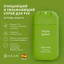 Haan Спрей для рук очищающий и увлажняющий 30 мл Игривый мохито