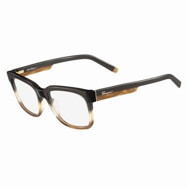 Оправа Salvatore Ferragamo SF2751 326