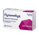 Пульмибуд