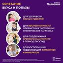 Малоежка Питание детское сбалансированное с 1 до 10 лет Клубника 200 мл