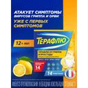 ТераФлю порошок для приготовления раствора Лимон 14 шт