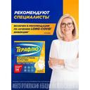 ТераФлю порошок для приготовления раствора Лимон 14 шт