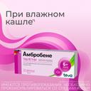 Амбробене 30 мг таблетки 20 шт