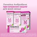 Амбробене 30 мг таблетки 20 шт