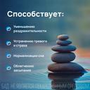 Пасситин Защита от стресса капсулы 30 шт