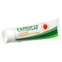 Салвисар мазь для наружного применения 100 г