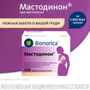 Мастодинон таблетки гомеопатические 120 шт