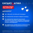 Кардиомагнил 75 мг+15,2 мг таблетки 30 шт