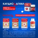 Кардиомагнил 75 мг+15,2 мг таблетки 30 шт
