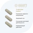 Evalar Laboratory ГАБА 500 мг капсулы 60 шт