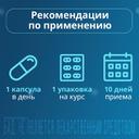 Probielle Bio Пробиотик капсулы 10 шт
