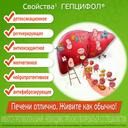 Гепцифол 400 мг таблетки кишечнорастворимые 20 шт