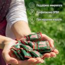 Альпийская карамель леденцы без сахара Ментол 75 г