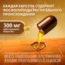 Эссенциале форте Н 300 мг капсулы 180 шт