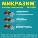 Микразим 25000 ЕД капсулы 100 шт