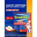 ТераФлю Экстра порошок для приготовления раствора Яблоко-Корица 10 шт
