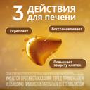 Эссенциале форте Н 300 мг капсулы 30 шт