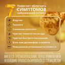 Эссенциале форте Н 300 мг капсулы 30 шт