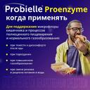 Probielle Proenzyme Пробиотик капсулы 10 шт