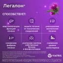 Легалон 140 мг капсулы 30 шт