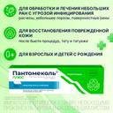 Пантомеколь Плюс 5,25%+0,802% крем для наружного применения 30 г