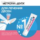 Метрогил Дента 10 мг/г+0,5 мг/г гель стоматологический 20 г