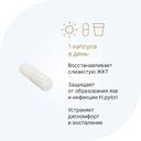 Evalar Laboratory Цинк L-карнозин Гастро 75 мг капсулы 60 шт