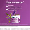Циклодинон таблетки 30 шт