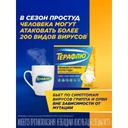 ТераФлю порошок для приготовления раствора Лимон 10 шт