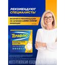 ТераФлю порошок для приготовления раствора Лимон 10 шт