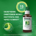 Иберогаст капли для приема внутрь 100 мл