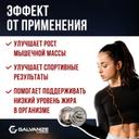 Galvanize 100 Изолят протеина порошок Шоколад 700 г