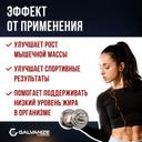 Galvanize 100 Изолят протеина порошок Печенье с кремом 700 г