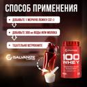 Galvanize 100 Сывороточный протеин порошок Шоколад 900 г