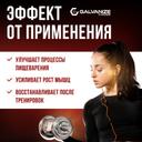 Galvanize 100 Сывороточный протеин порошок Шоколад 900 г