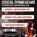 Galvanize Макс Сывороточный протеин порошок Клубника 900 г