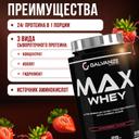 Galvanize Макс Сывороточный протеин порошок Клубника 900 г
