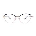 Neolook Glamour Оправа с футляром N-2214 C163