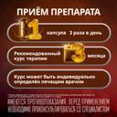 Эссенциале форте Н 600 мг капсулы 90 шт