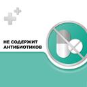 Стрепсилс с Ментолом и Эвкалиптом таблетки для рассасывания 24 шт