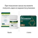 Пикамилон 50 мг таблетки 30 шт