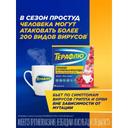 ТераФлю порошок для приготовления раствора Лесные ягоды 10 шт