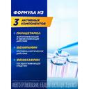 ТераФлю порошок для приготовления раствора Лесные ягоды 10 шт