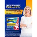 ТераФлю порошок для приготовления раствора Лесные ягоды 10 шт