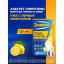 ТераФлю порошок для приготовления раствора Лимон 4 шт