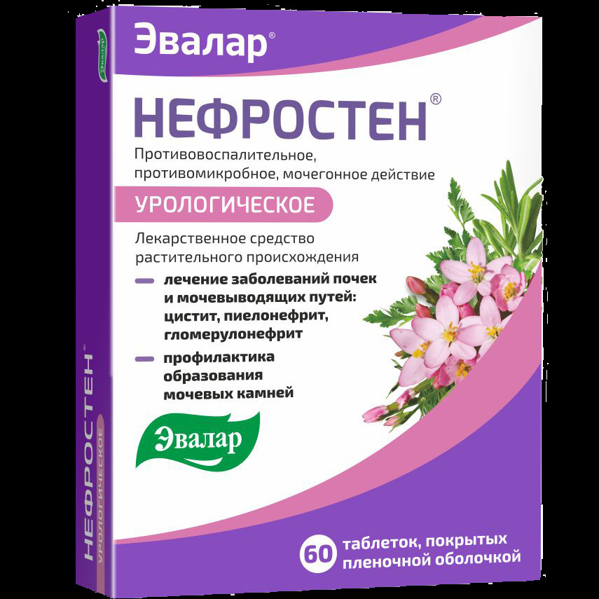 Нефростен таблетки 60 шт